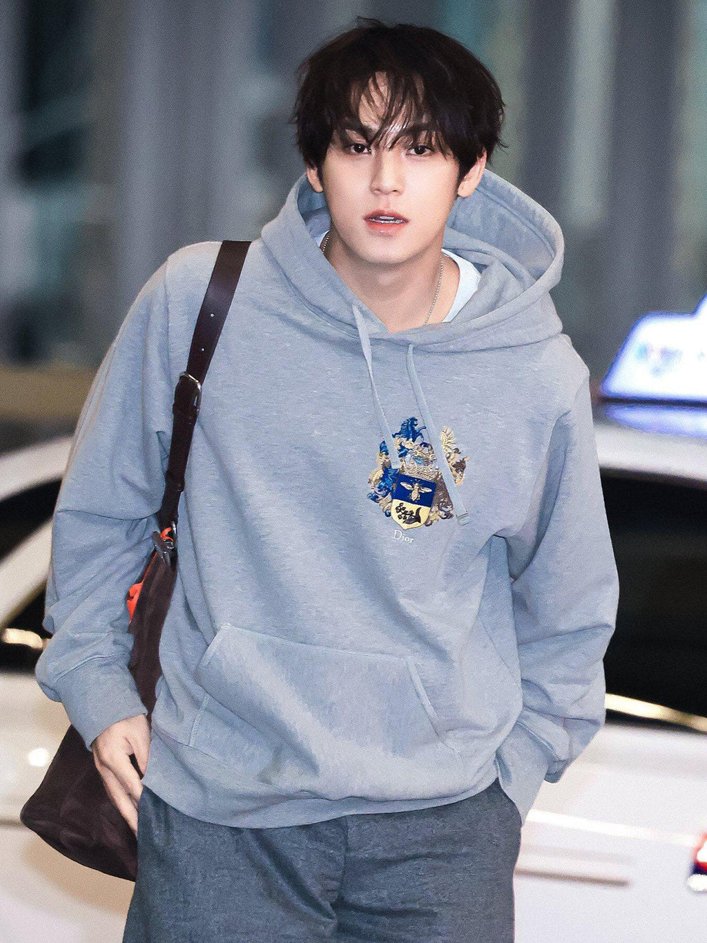 Dior Embroidered Coat of Arms Hooded Sweatshirt - Grey