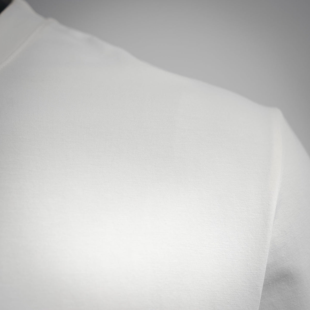 Emporio Armani Classic Eagle Logo Print Cotton T-Shirt - White