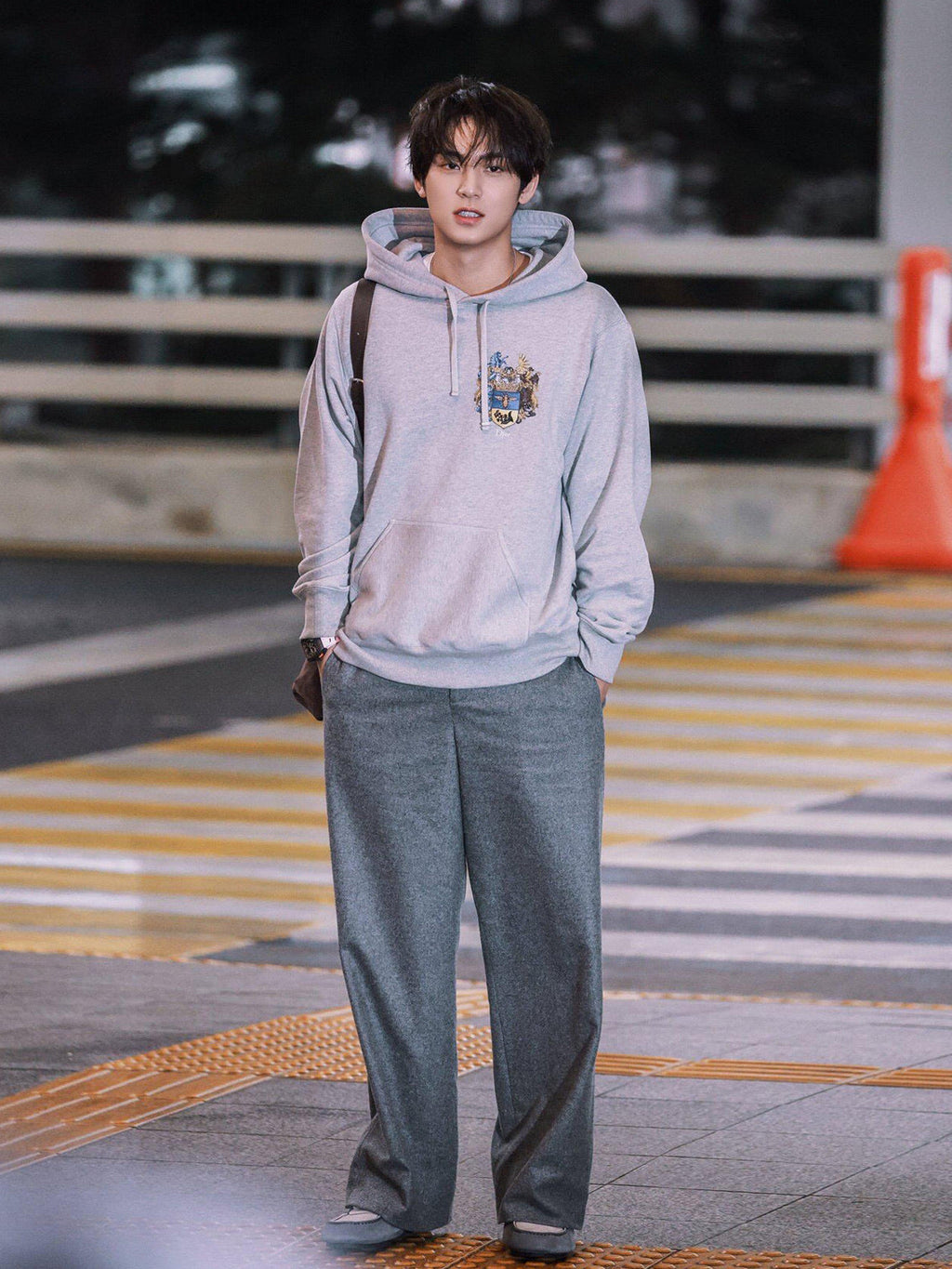 Dior Embroidered Coat of Arms Hooded Sweatshirt - Grey